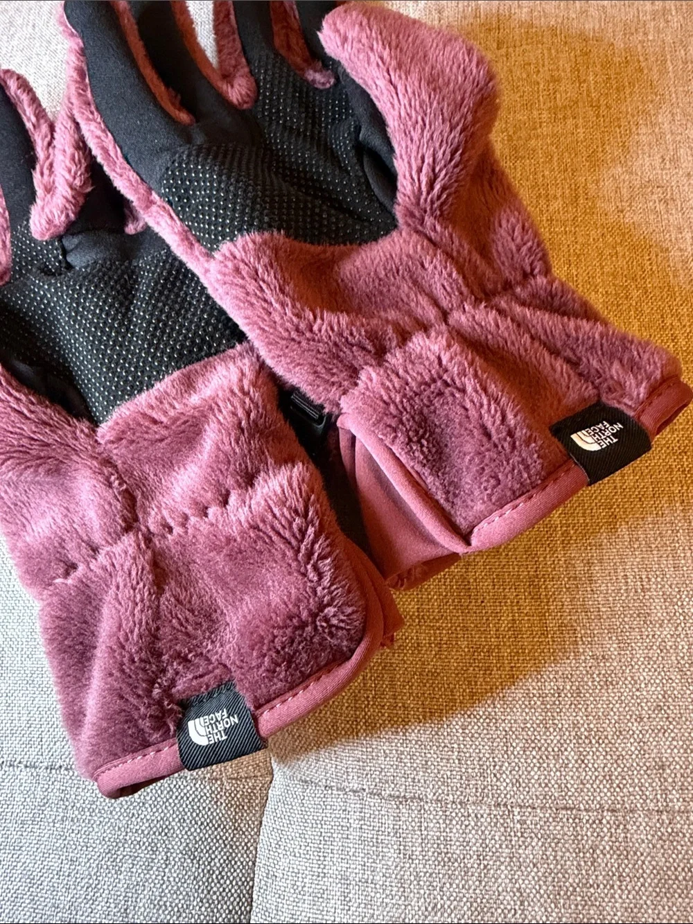 The northface gloves